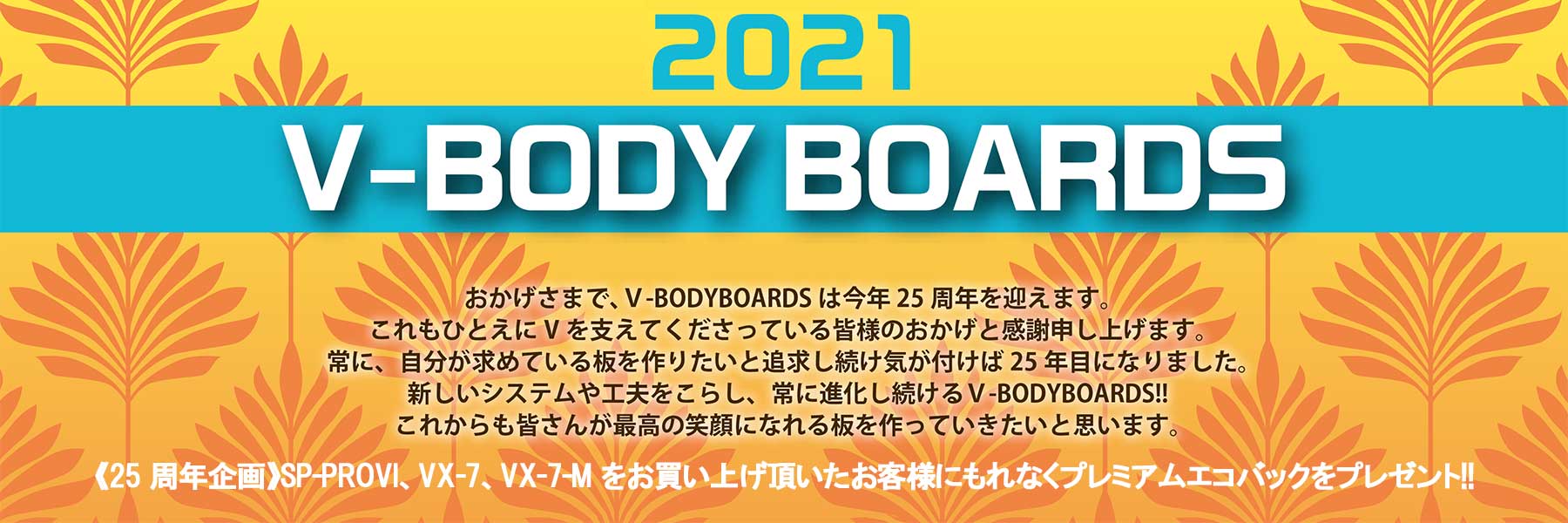 V Body Boards 21モデル Vボディーボード バズコーポレーション V Body Boards 21モデル Vボディーボード バズコーポレーション